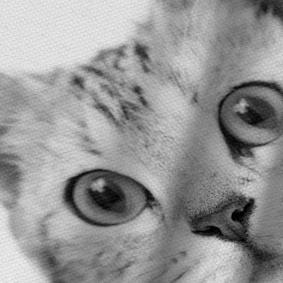 Americanflat 71" X 74" Shower Curtain By NUADA - Image 3