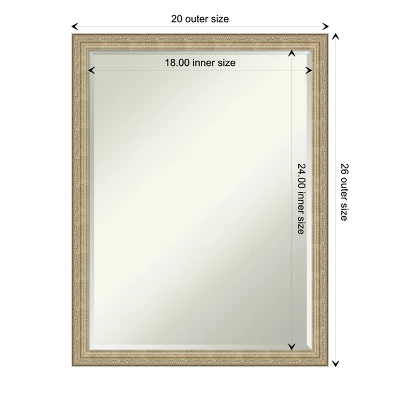 Amanti Art Paris Champagne Petite Bevel Bathroom Wall Mirror 26 X 20 In. - Image 3