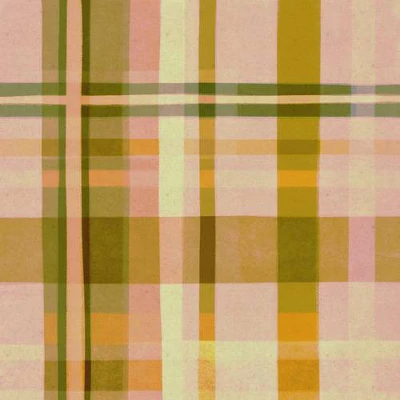 Alisa Galitsyna Colorful Plaid I Shower Curtain Pink - Deny Designs - Image 2